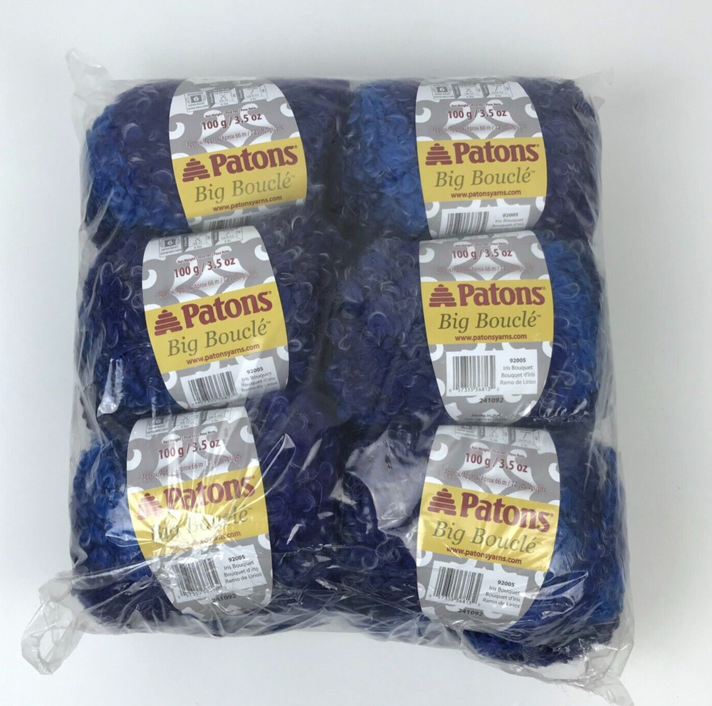 Patons Big Boucle Yarn 92005 Iris Bouquet 6 Skeins